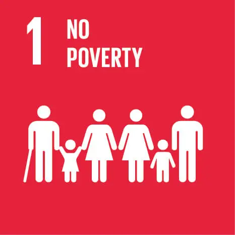 1 no poverty ribbon