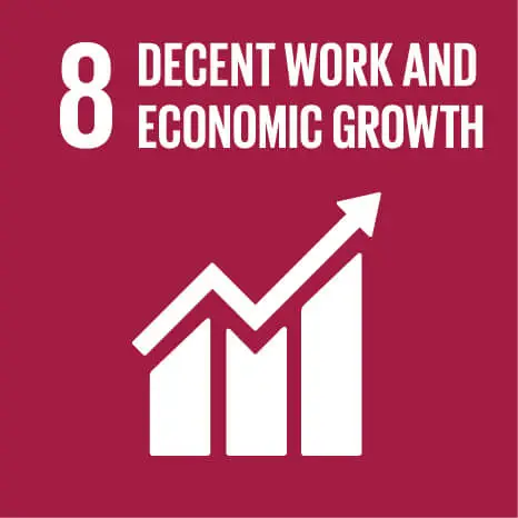 8 decent work and economic growth