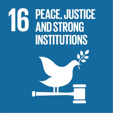 16 peace, justice and strong institutions